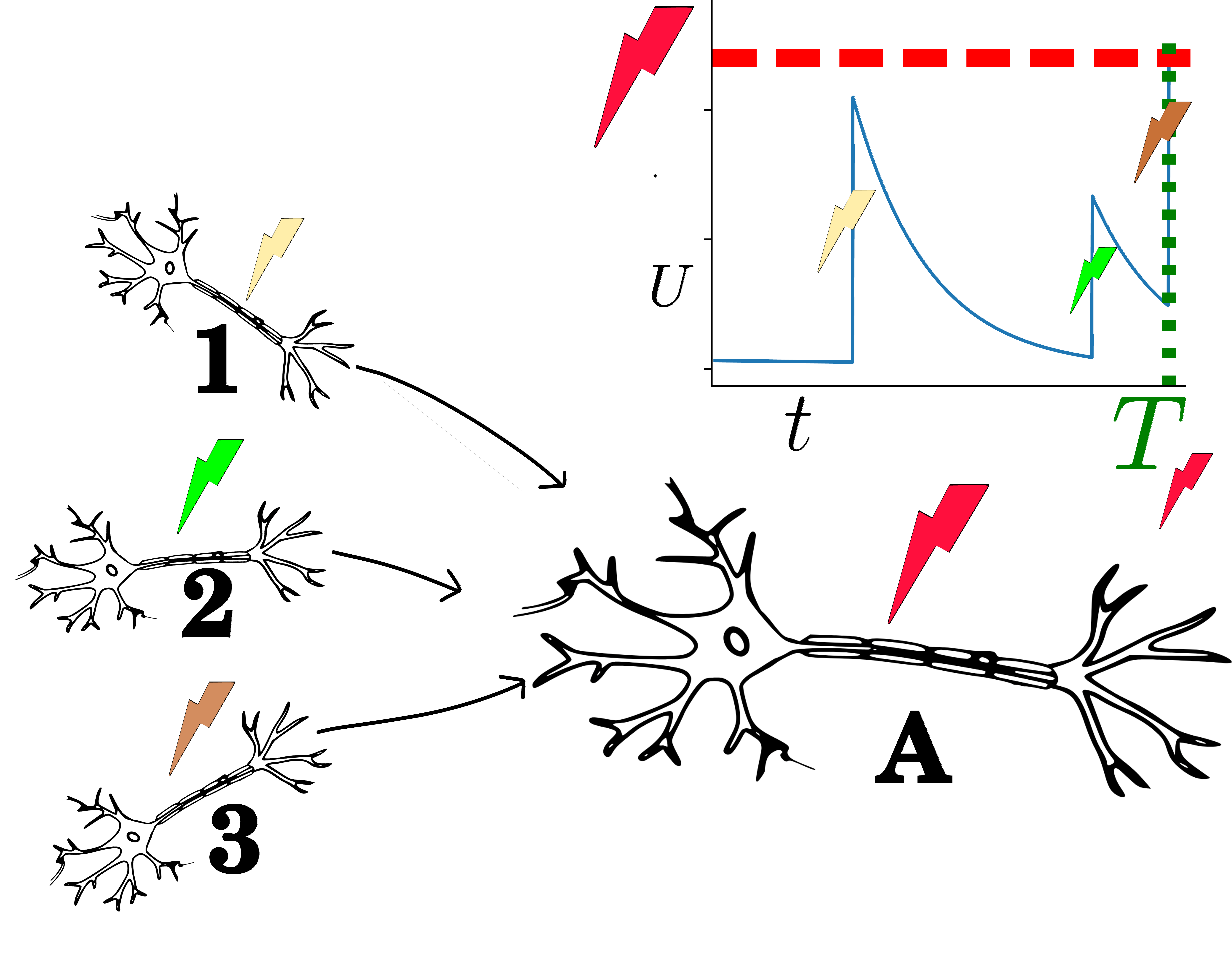 Neuron model